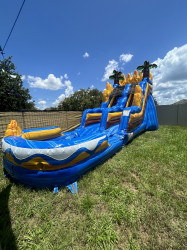 15' Tropical Oasis 30L 13W 15H